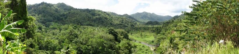 Dominica_Panorama