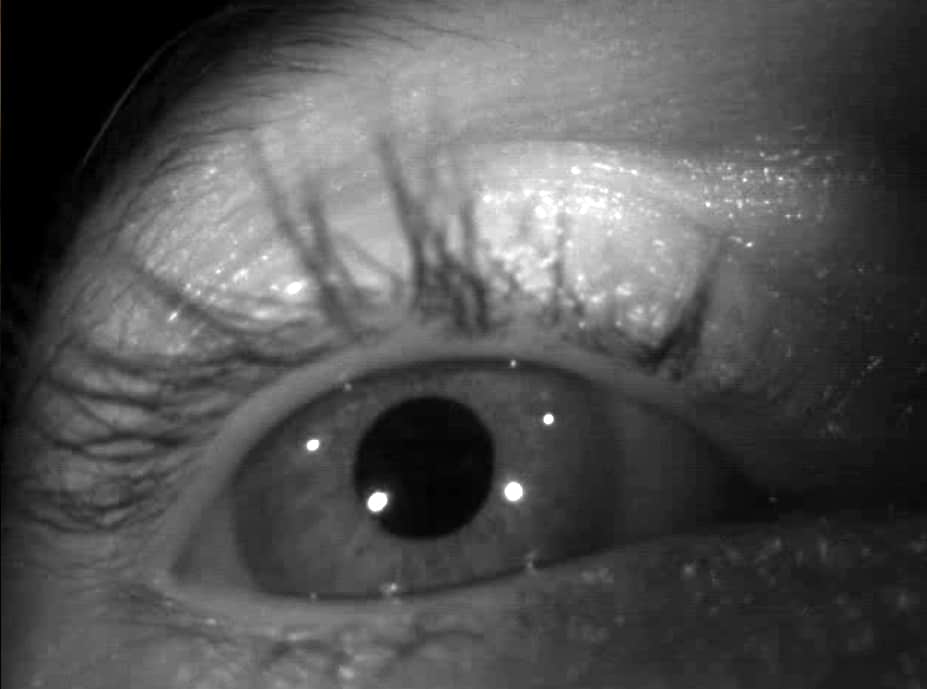 Eye shot with an eyetracker, CVN Kalari, Trivandrum, Dubos, 2014