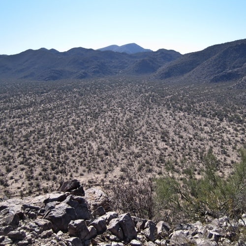 The Sonoran Desert, near Sells, Arizona (Photo by Marko Tocilovac, 2010.The Sonoran Desert, near Sells, Arizona. Credit: Marko Tocilovac, 2010, CC BY-NC-ND 2.0)