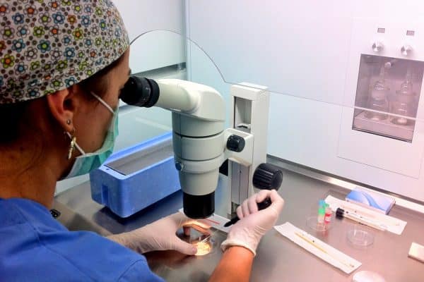 Doctor - embryologist - performing IVF in the lab