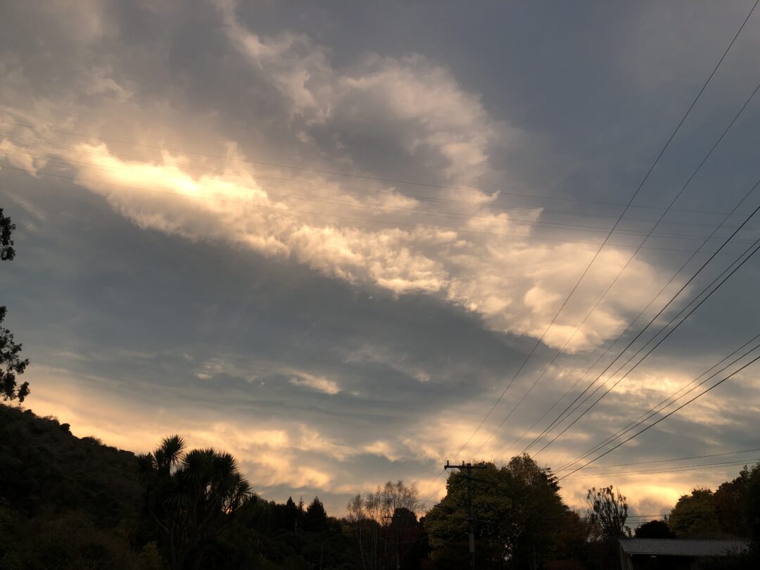 Vibrant sunset in Leith Valley.