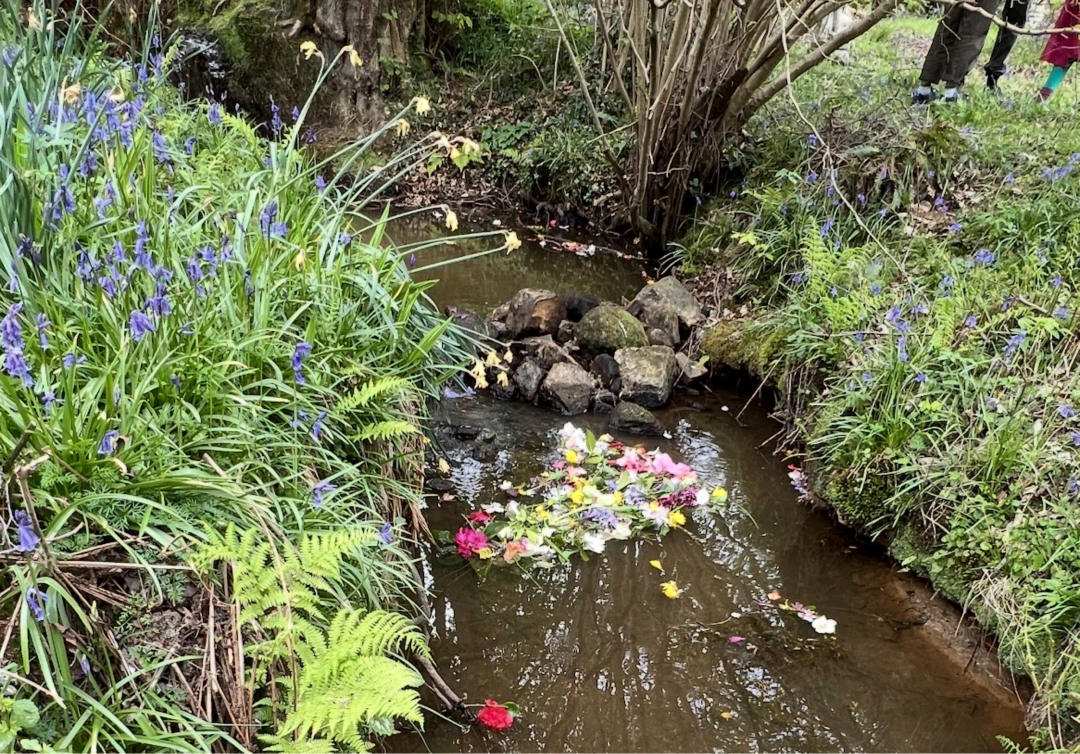 Flower offerings floating downstream after a May Day Water Ceremony and Festival, southern England (fieldwork, 2022). Photo by SL Ellison.